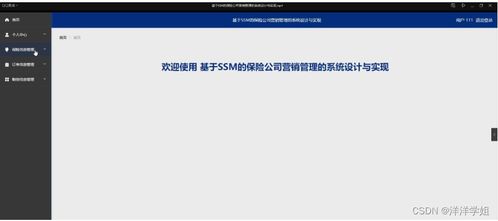 朝陽保險(xiǎn)公司營(yíng)銷管理系統(tǒng)（SSM框架）設(shè)計(jì)與實(shí)現(xiàn)——新手入門指南