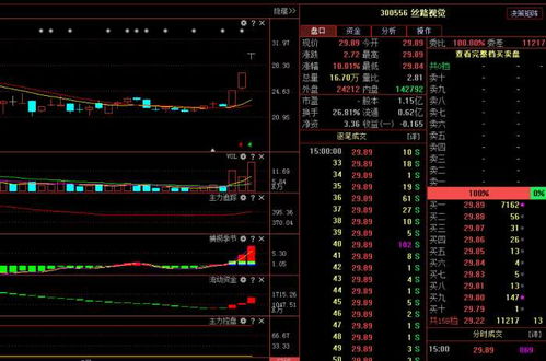 絲路視覺（300556） 主力悄然布局，計(jì)算機(jī)軟硬件業(yè)務(wù)驅(qū)動(dòng)下未來(lái)走勢(shì)深度解析